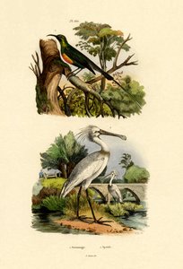 Souimanga, 1833-39